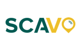 Scavo